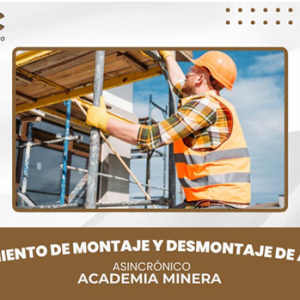 PROCEDIMIENTO DE MONTAJE Y DESMONTAJE DE ANDAMIOS