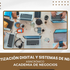 ALFABETIZACIÓN DIGITAL Y SISTEMAS DE NEGOCIOS
