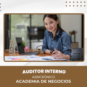 AUDITOR INTERNO